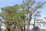 resIMG_20180420_101734_9515.JPG
